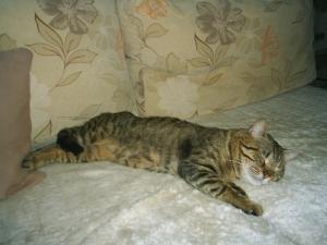 Прикачена снимка