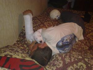 Прикачена снимка
