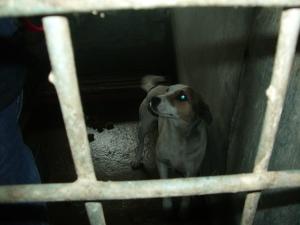 Прикачена снимка