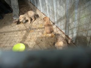 Прикачена снимка
