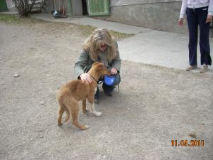 Прикачена снимка