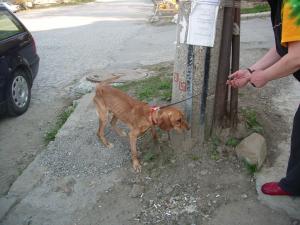 Прикачена снимка