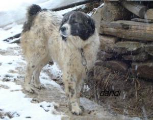 Прикачена снимка