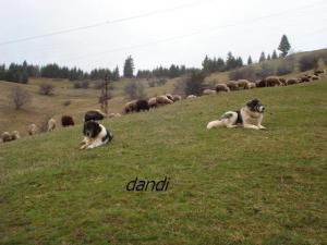 Прикачена снимка