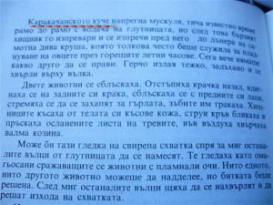 Прикачена снимка