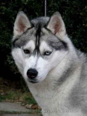 Прикачена снимка