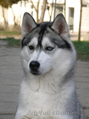 Прикачена снимка