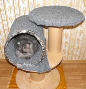 Прикачена снимка