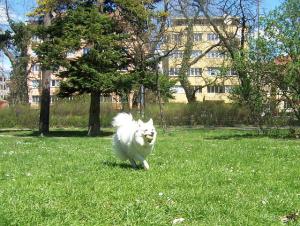 Прикачена снимка
