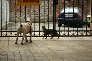 Прикачена снимка
