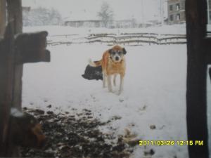 Прикачена снимка