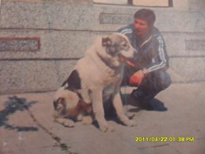 Прикачена снимка