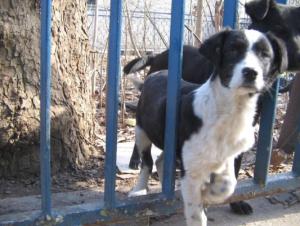 Прикачена снимка