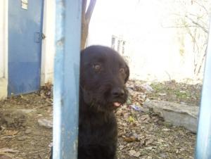 Прикачена снимка