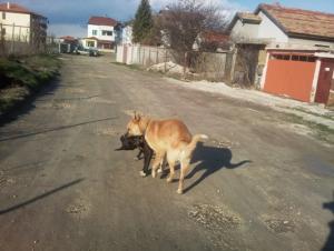 Прикачена снимка