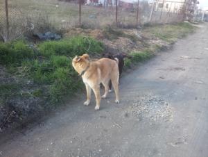 Прикачена снимка