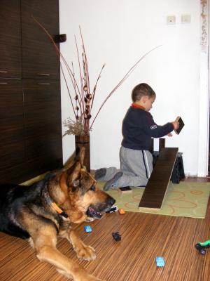 Прикачена снимка