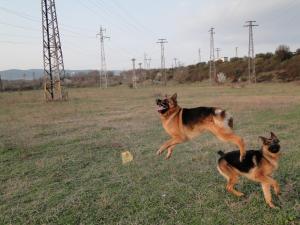 Прикачена снимка