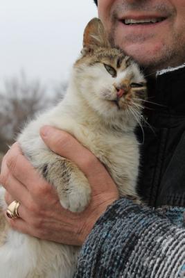 Прикачена снимка