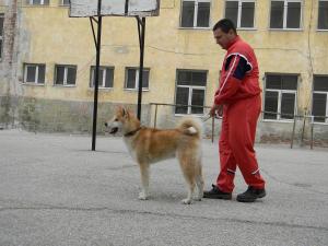 Прикачена снимка
