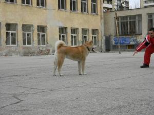 Прикачена снимка