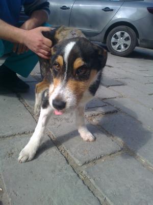 Прикачена снимка