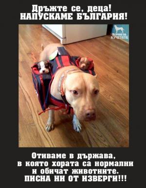 Прикачена снимка