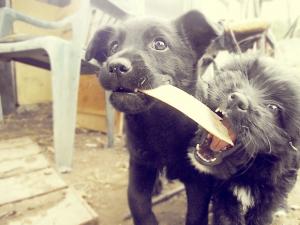 Прикачена снимка