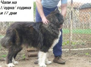 Прикачена снимка