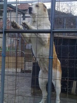 Прикачена снимка
