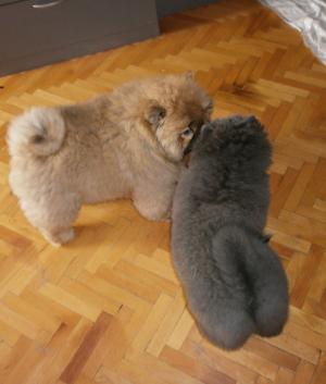 Прикачена снимка
