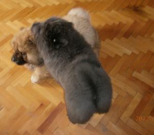 Прикачена снимка