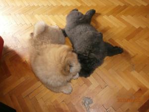 Прикачена снимка