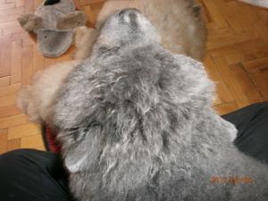Прикачена снимка