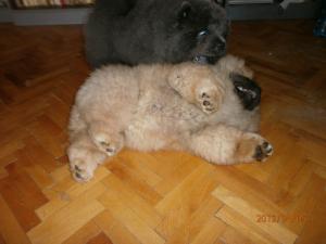 Прикачена снимка