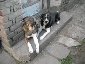 Прикачена снимка