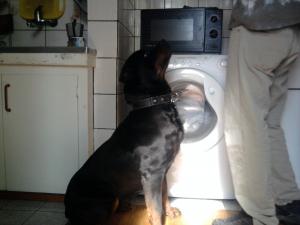 Прикачена снимка