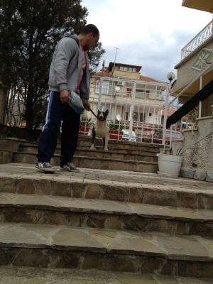 Прикачена снимка