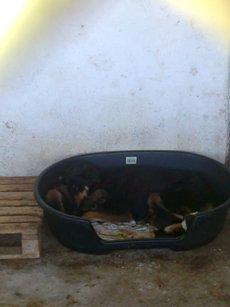 Прикачена снимка