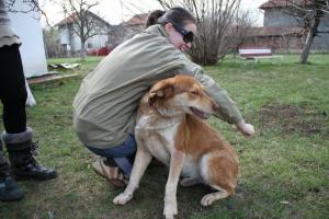 Прикачена снимка