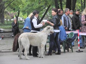 Прикачена снимка