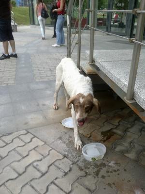 Прикачена снимка