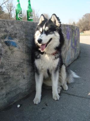Прикачена снимка