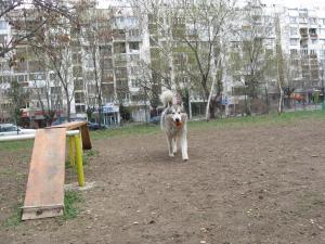 Прикачена снимка