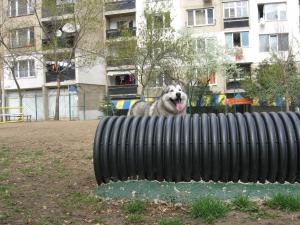 Прикачена снимка