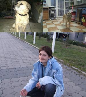 Прикачена снимка