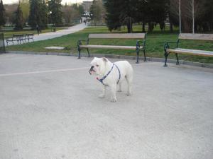 Прикачена снимка