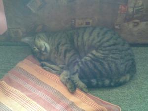 Прикачена снимка