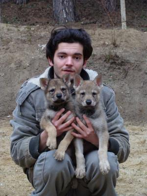 Прикачена снимка