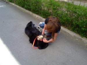Прикачена снимка